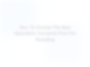 Selecting the Perfect Geometric Humanist Font for Your Brand